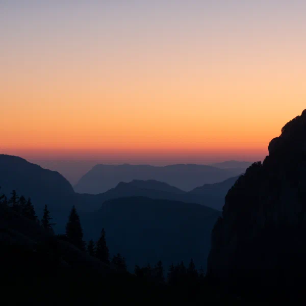Sunrise Chartreuse